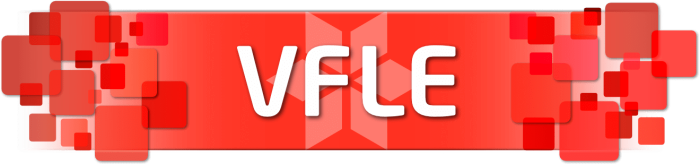 3_VFLE