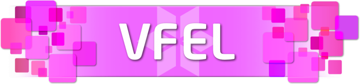 4_VFEL