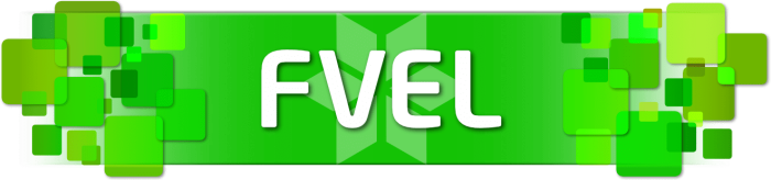 6_FVEL